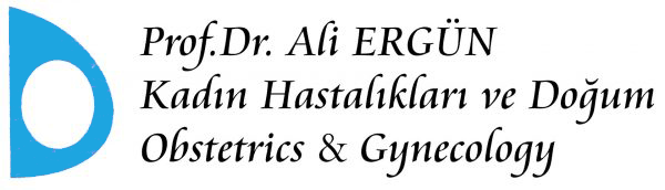 Prof. Dr. Ali ERGÜN